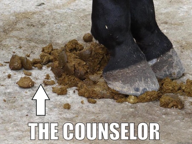 counselor